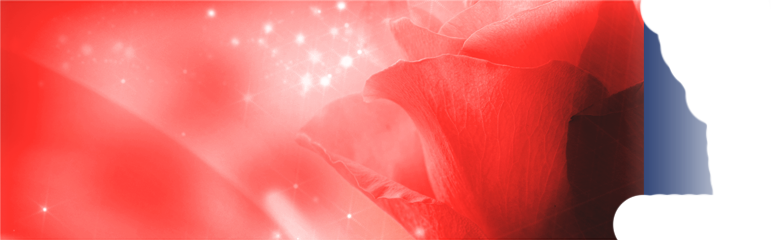 Valentins- & Muttertags-Offerten