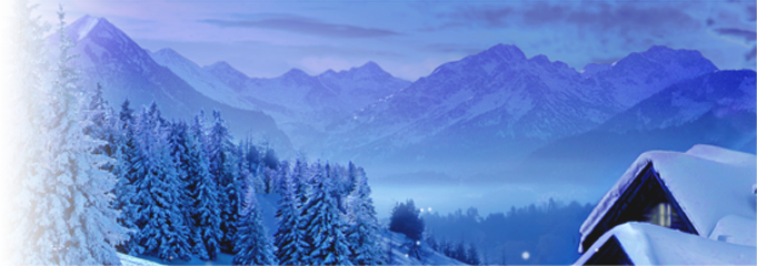 Weihnachts-Collection